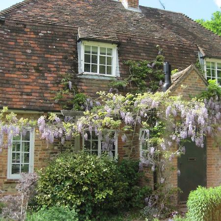 Tilford Mill Cottage Farnham  Esterno foto