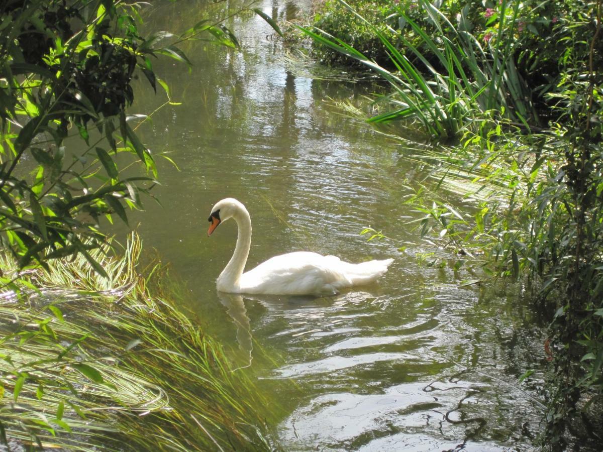 Tilford Mill Cottage Farnham  Esterno foto